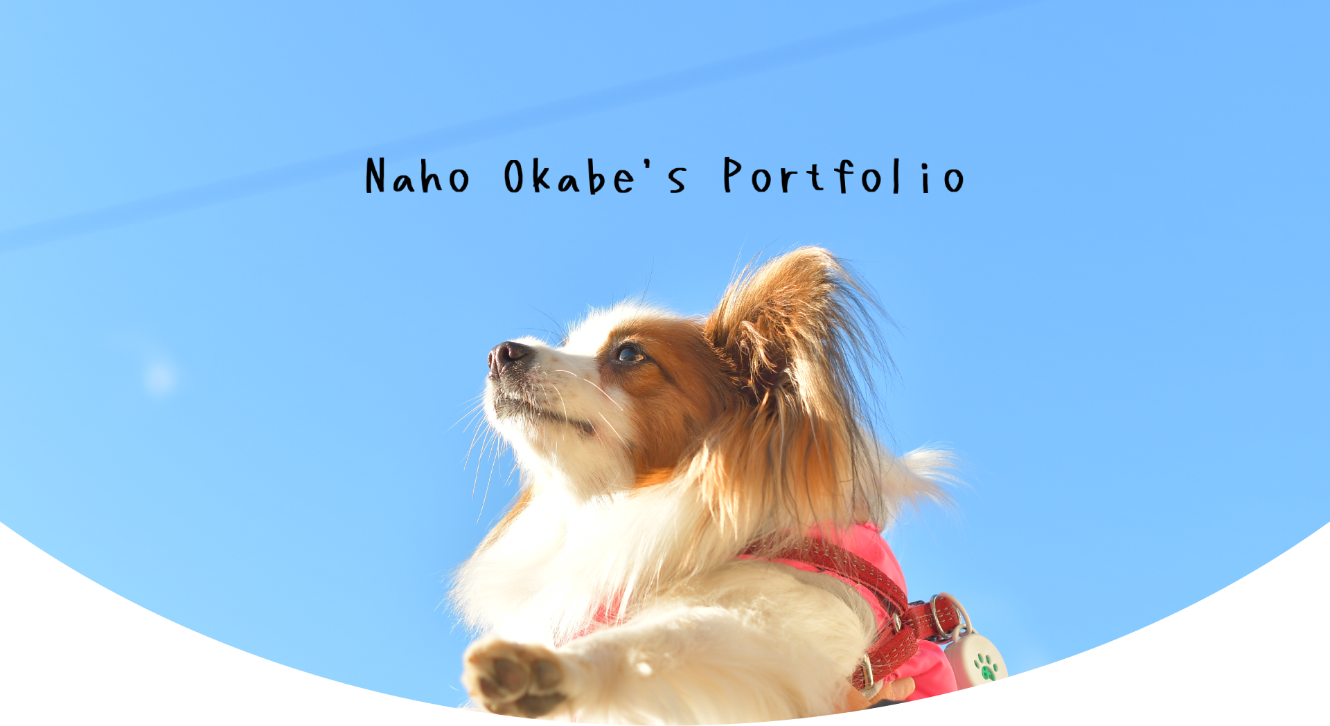 メインビジュアル：犬の写真